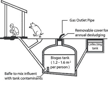 Bio Gas